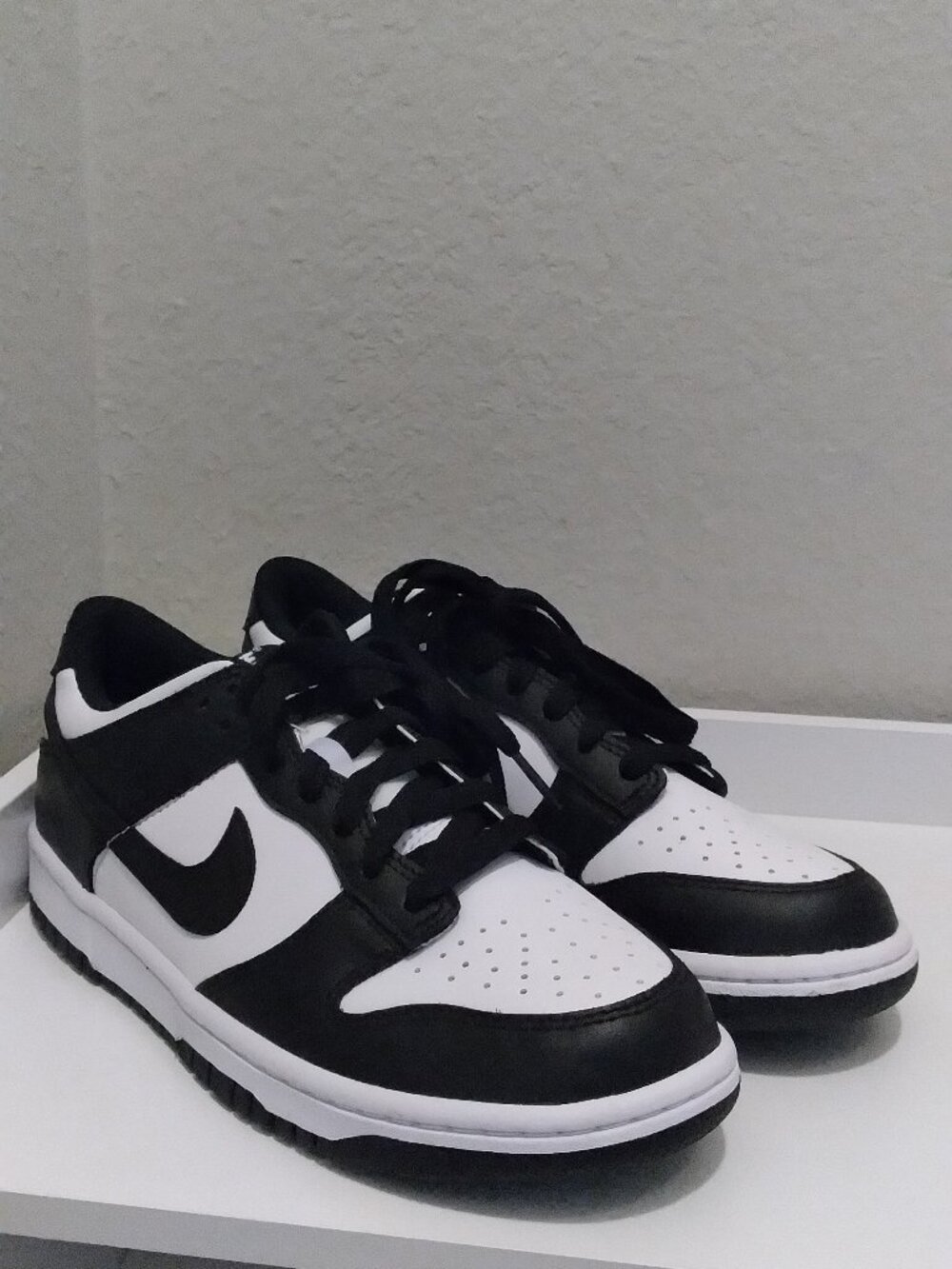 White and Black Nike Dunk Pandas